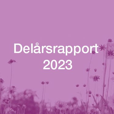 Delårsrapport 2023