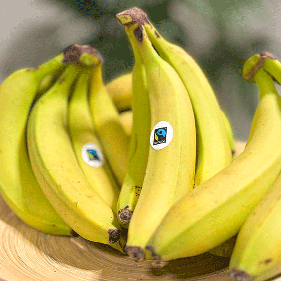 Fairtrademärkta gula bananer. Fotograf: Fairtrade Sverige