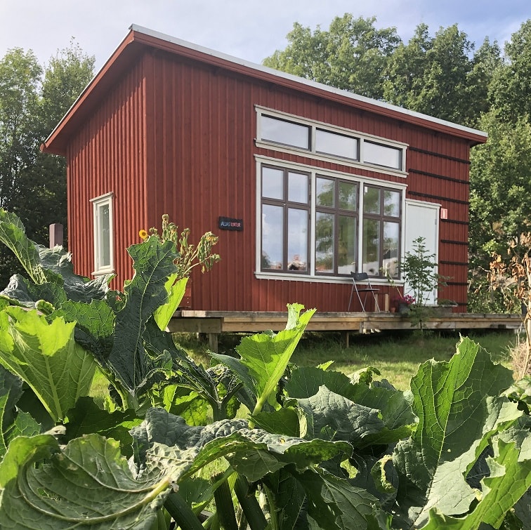 Ett mindre hus som står i en lummig sommarträdgård.