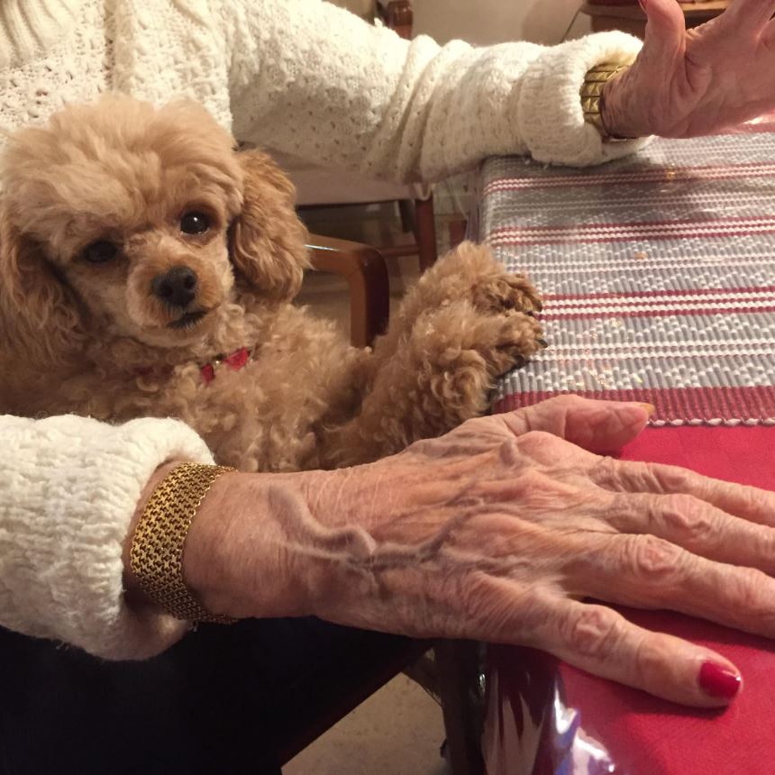 I famnen på den äldre damen sitter en lite hund.